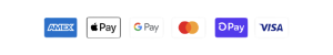 payment_icons_in_launch_demo_footer-removebg-preview